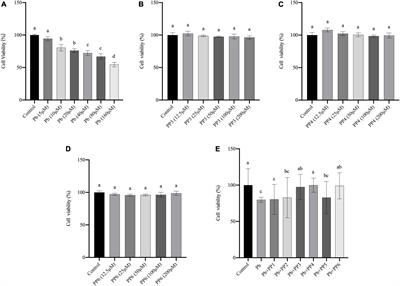 Alleviating effects of pea peptide on oxidative stress injury induced by lead in PC12 cells via Keap1/Nrf2/TXNIP signaling pathway